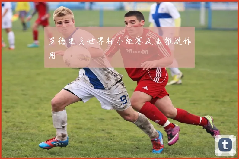 罗德里戈世界杯小组赛反击推进作用
