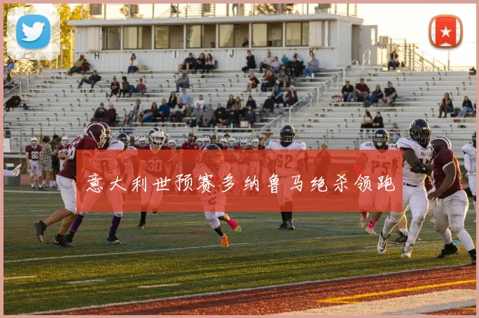 意大利世预赛多纳鲁马绝杀领跑