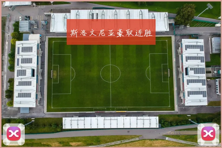 斯洛文尼亚豪取连胜 - 爱游戏(ayx)体育在线官网-爱游戏世界杯(中国)