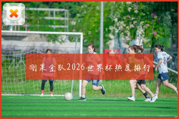 刚果金队2026世界杯热度排行
