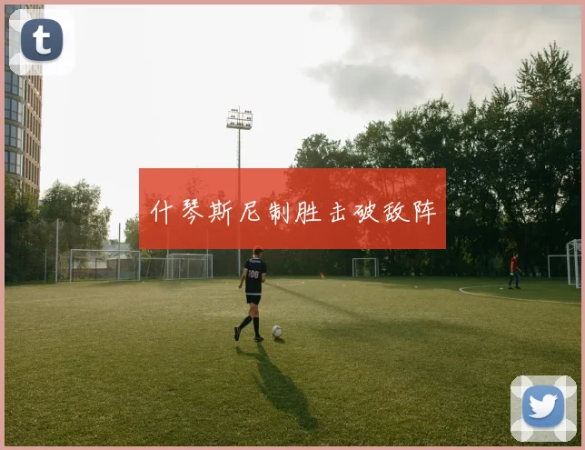什琴斯尼制胜击破敌阵 - 爱游戏(ayx)体育在线官网-爱游戏世界杯（中国）