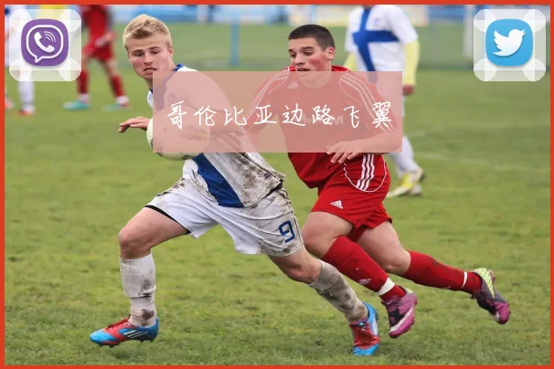 哥伦比亚边路飞翼 - 爱游戏(ayx)体育在线官网-爱游戏世界杯（中国）