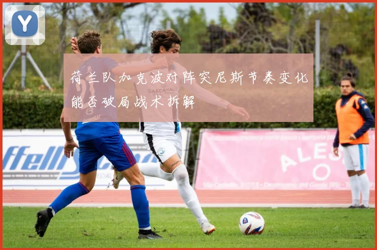 荷兰队加克波对阵突尼斯节奏变化能否破局战术拆解