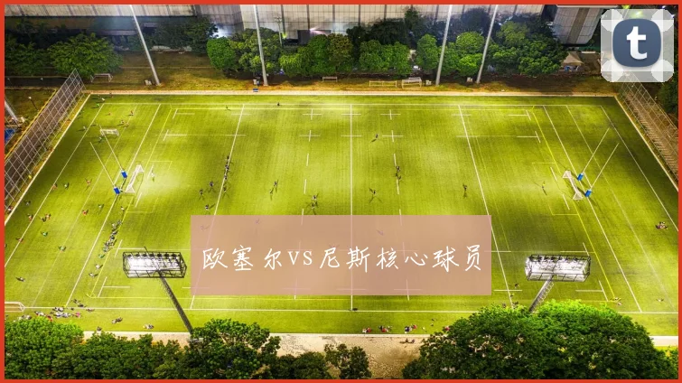 欧塞尔vs尼斯核心球员